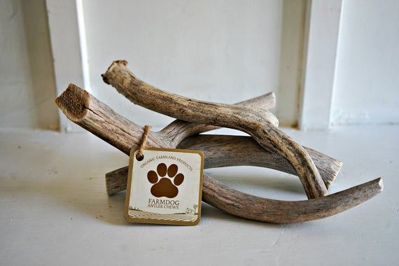 Antler Dog Chews Bundle Of Three Whole Large Antler Chews Farm