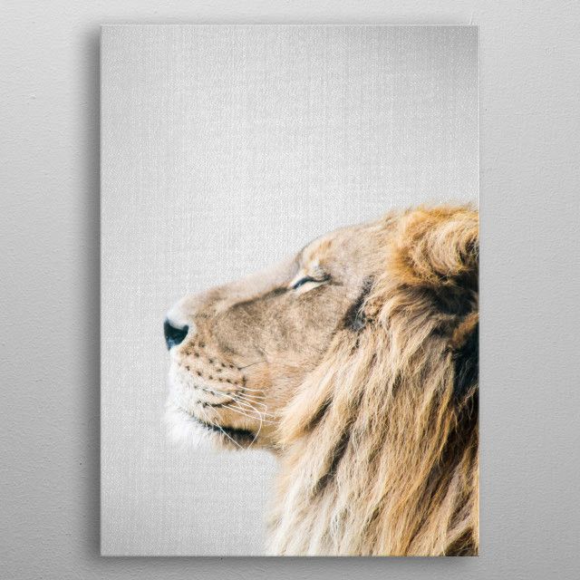 drawing unframed Large African Lion totem animal art print