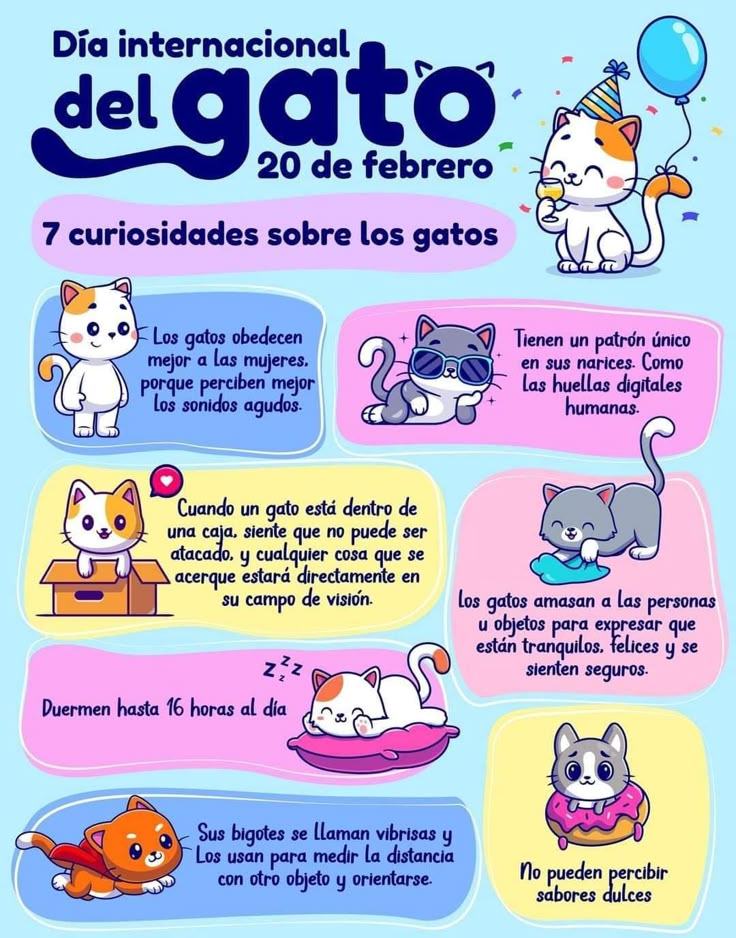 Pin De Patrie Urra En Cosas Geniales Lenguaje De Los Gatos Cuidado pin-de-patrie-urra-en-cosas-geniales-lenguaje-de-los-gatos-cuidado