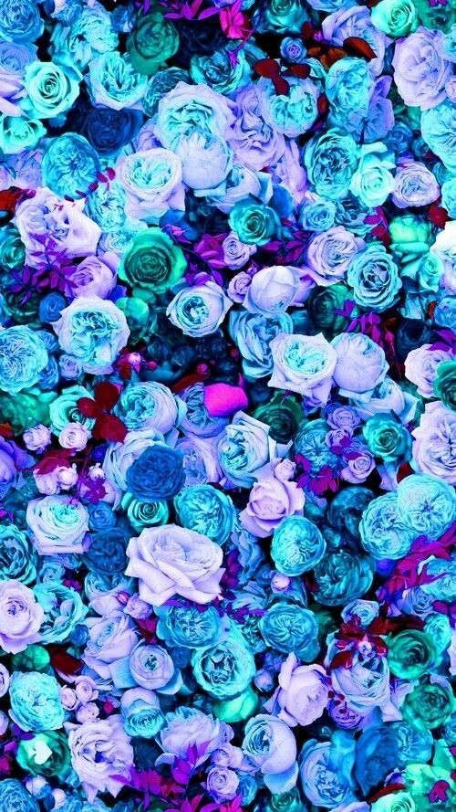 best 25+ pretty wallpapers ideas on pinterest | ocean, sea foam best 25+ pretty wallpapers ideas on pinterest | ocean, sea foam