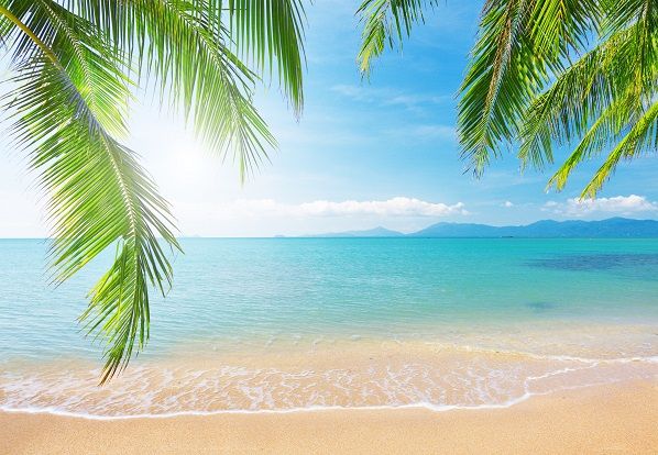 best 25+ beach wall murals ideas on pinterest | beach mural best 25+ beach wall murals ideas on pinterest | beach mural