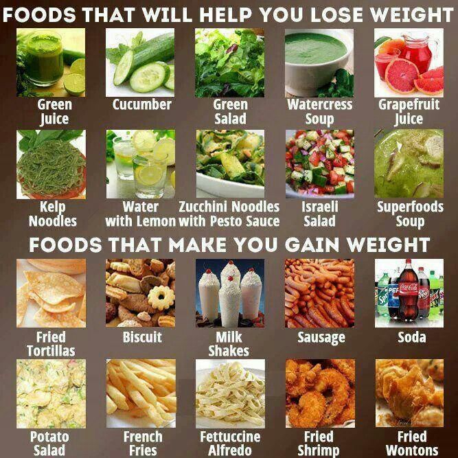 What Foods Make You Lose Weight Quick What Foods Make You Lose Weight Quick