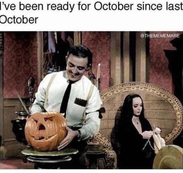 Pin by Tor Bear on Halloween/Horror | Halloween memes, Funny halloween