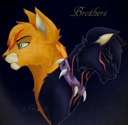 Warrior Cats Gei Ef Bf Bdel Warrior Cats Gei Ef Bf Bdel