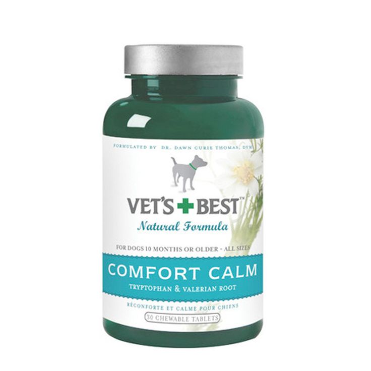 Dramamine For Dogs Anxiety