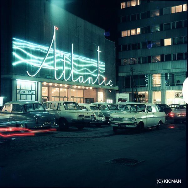 51 Best Polska Neon Images On Pinterest Poland Neon And Neon Tetra