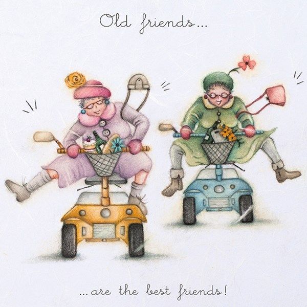 Cards Old Friends Old Friends Berni Parker Designs In 2020