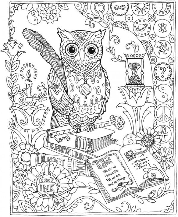 707 best Adult Coloring Pages images on Pinterest Coloring pages - copy baby owl coloring pages for adults 707 best Adult Coloring Pages images on Pinterest Coloring pages - copy baby owl coloring pages for adults