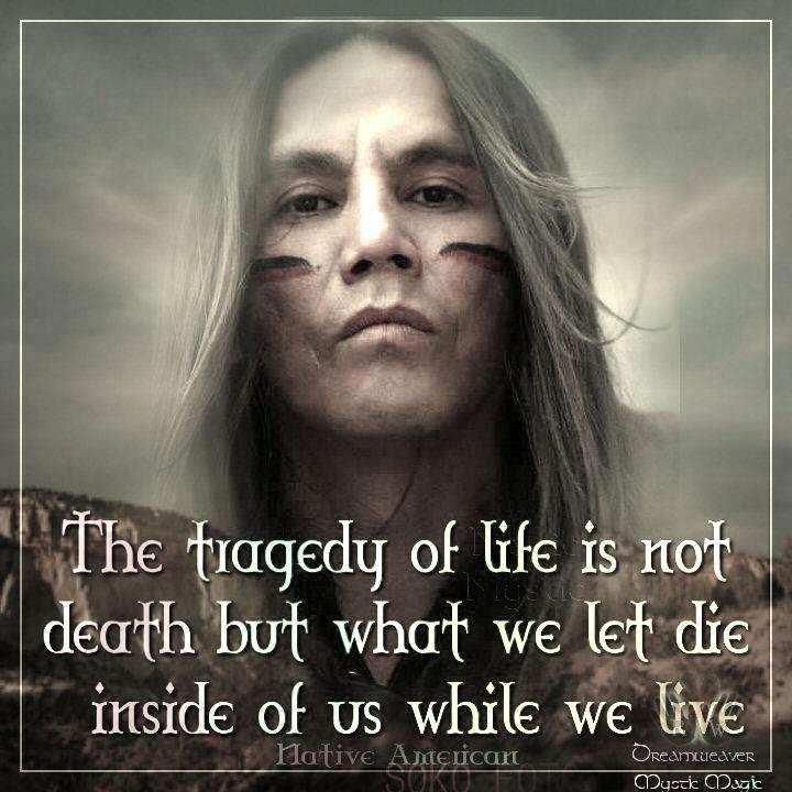 2b8fe6378c7d7de7e2528ade81ca0748--native-american-wisdom-native-american-proverb.jpg