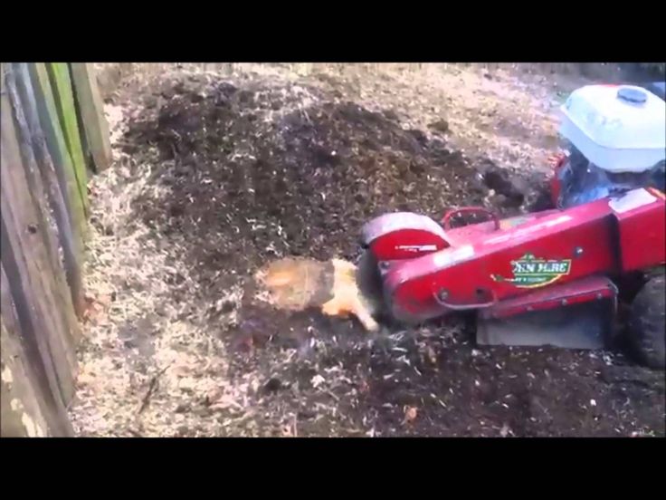 Hedge Trimming Services Bristol