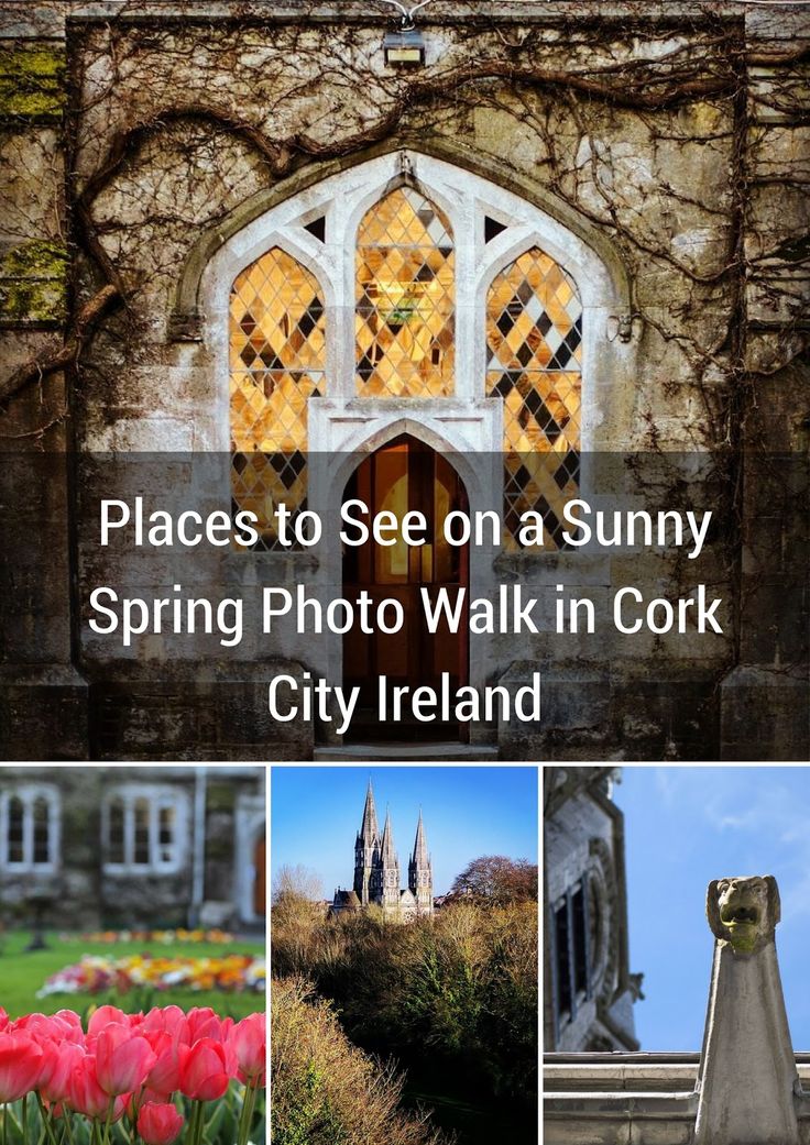 Best 25+ Cork city ireland ideas on Pinterest | Ireland