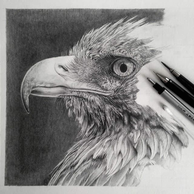 Amazingly realistic pencil drawings by monica lee Amazingly realistic pencil drawings by monica lee