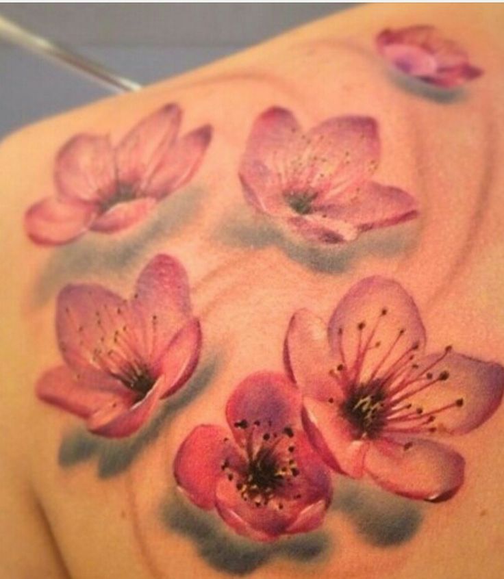 16 best cherry blossom tattoo template images on pinterest 16 best cherry blossom tattoo template images on pinterest
