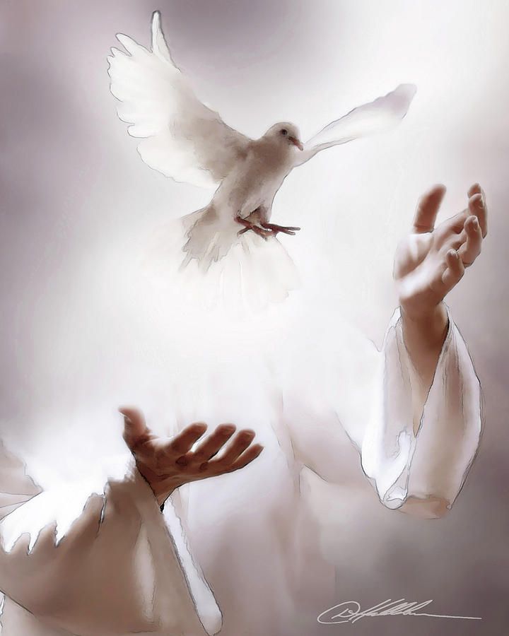 Receiving the Spirit by Danny Hahlbohm | Holy spirit art, Holy spirit, Holy spirit images