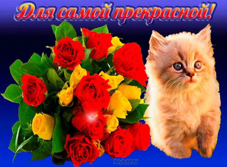 Лучшей женщине открытки