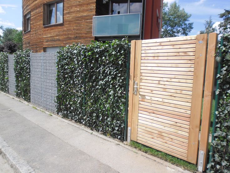 20 besten Hecke am laufenden Meter® Mobilane Fertighecke® Bilder - outdoor küche mauern 20 besten Hecke am laufenden Meter® Mobilane Fertighecke® Bilder - outdoor küche mauern