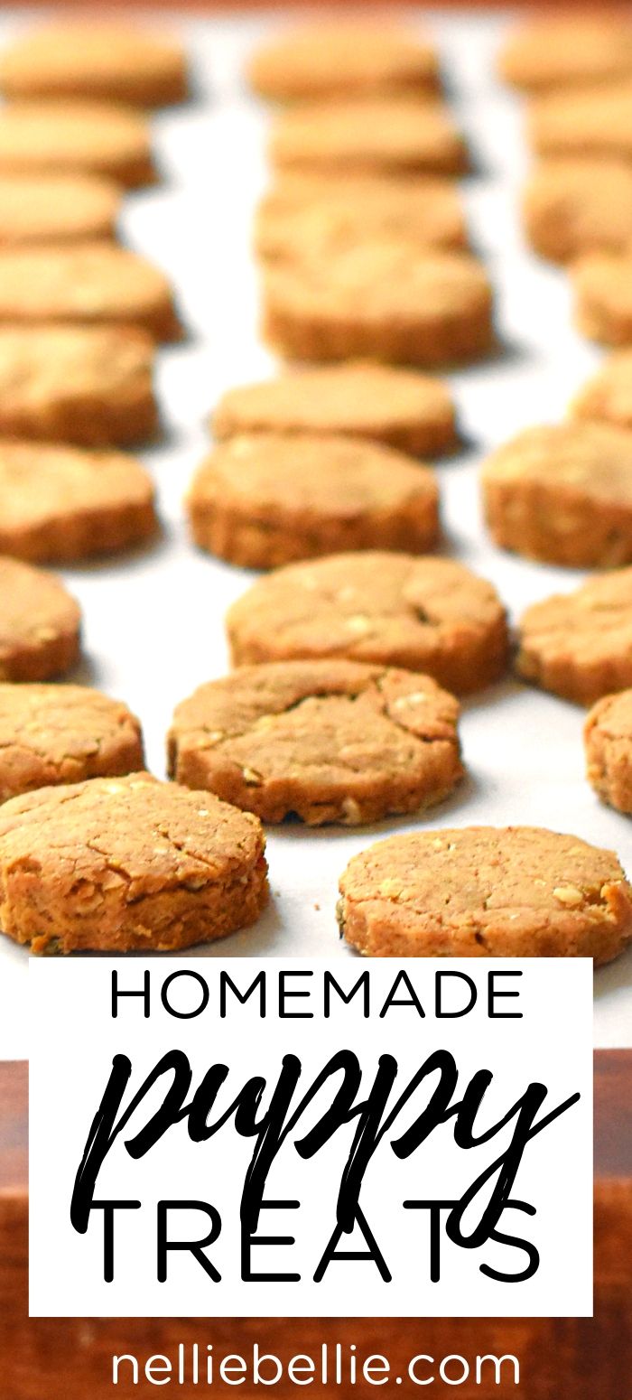 Dogs Go Nuts For These Easy Peanut Butter And Oatmeal Dog Treats