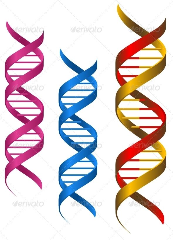 dna elements graphicriver dna elements and molecules for science and medicine design editable eps8