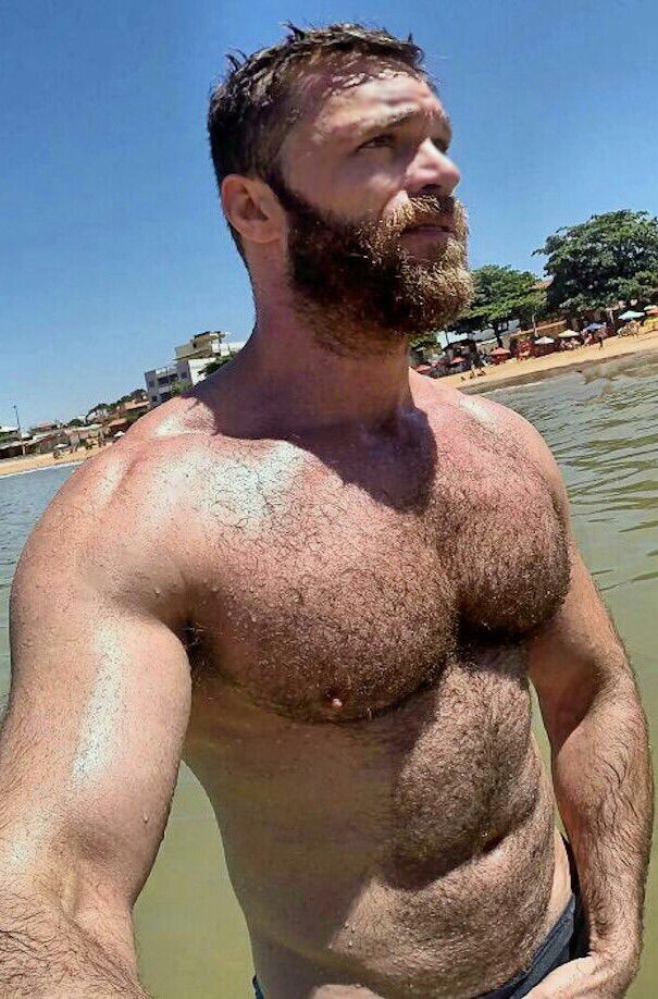 hairy bears and sexy men hairy bears and sexy men