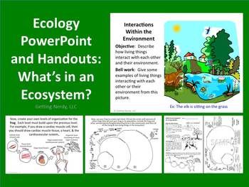 ecosystem levels of organization science teaching resources ecology powerpoint