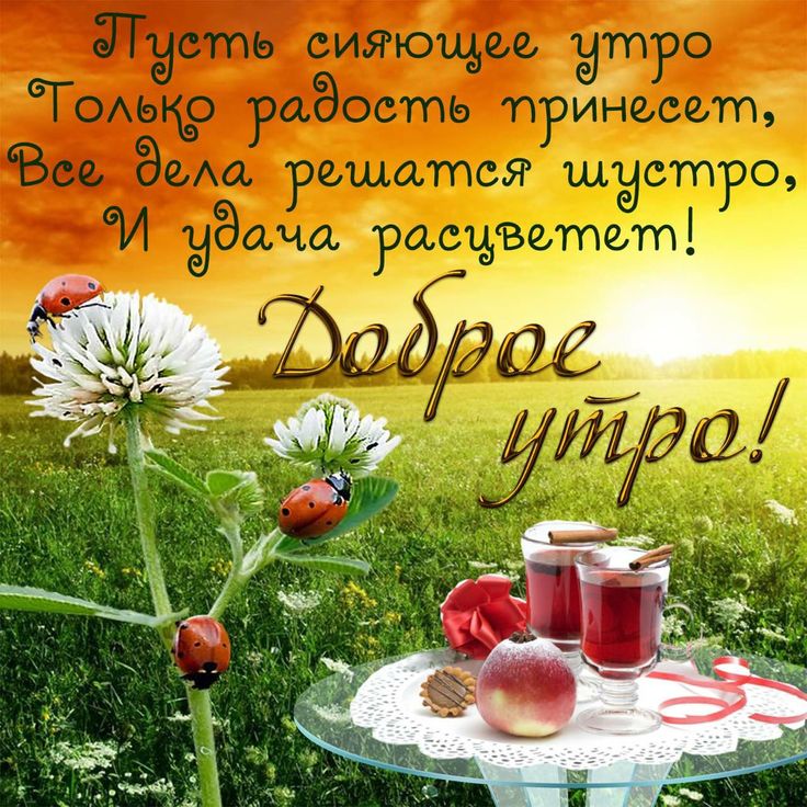 Открытки пожелания доброго утра и хорошего дня, рюмками