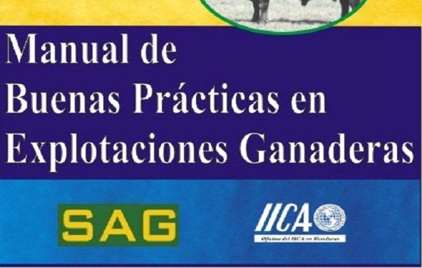 Descargamanual De Buenas Practicas En Explotaciones Ganaderas Pdf Buenas Prácticas Sé Bueno Bienestar Laboral