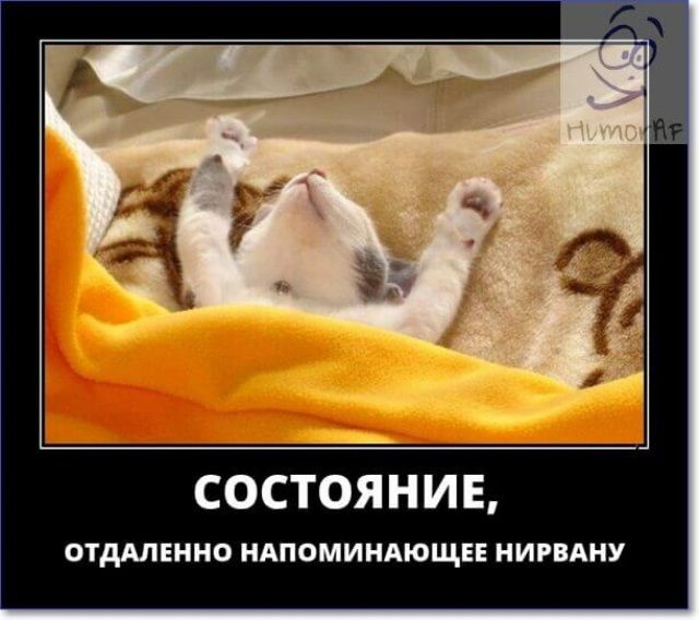 Прикольные картинки про воскресение