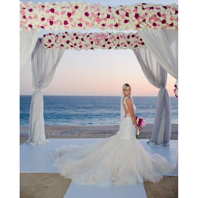 The 25 best Barbie blank ideas on Pinterest | WWE Divas ... The 25 best Barbie blank ideas on Pinterest | WWE Divas ...