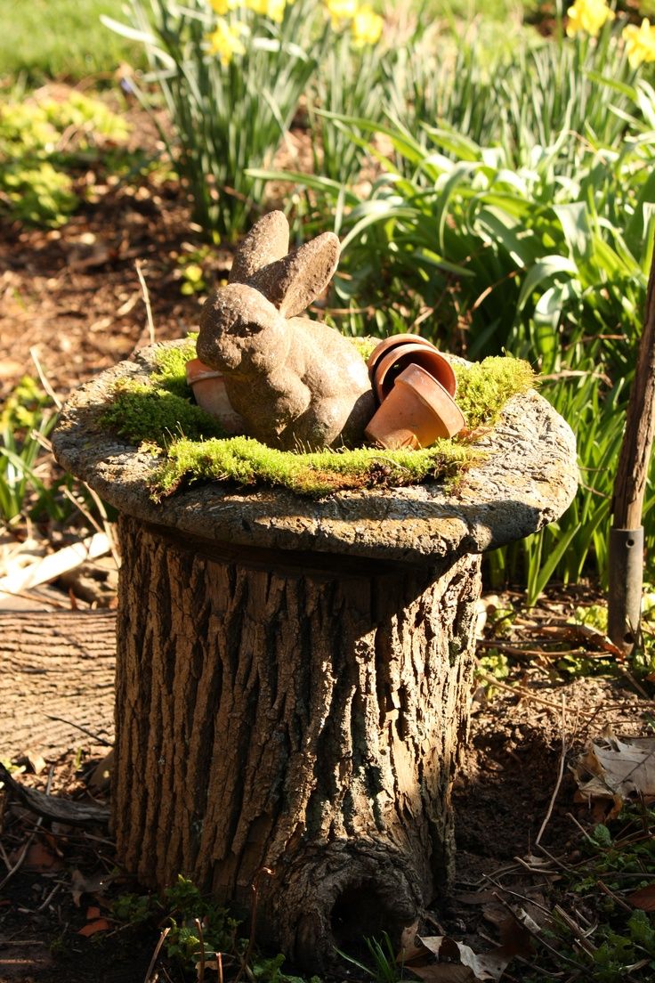 20 best gardening - tree stump ideas images on pinterest | fairies 20 best gardening - tree stump ideas images on pinterest | fairies