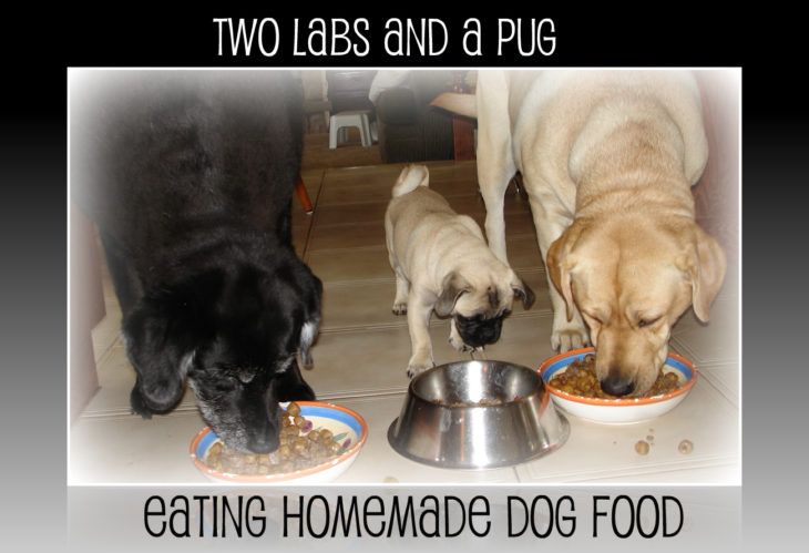 Homemade Dog Food Feeding Chart Serving Size By Dog S Weight