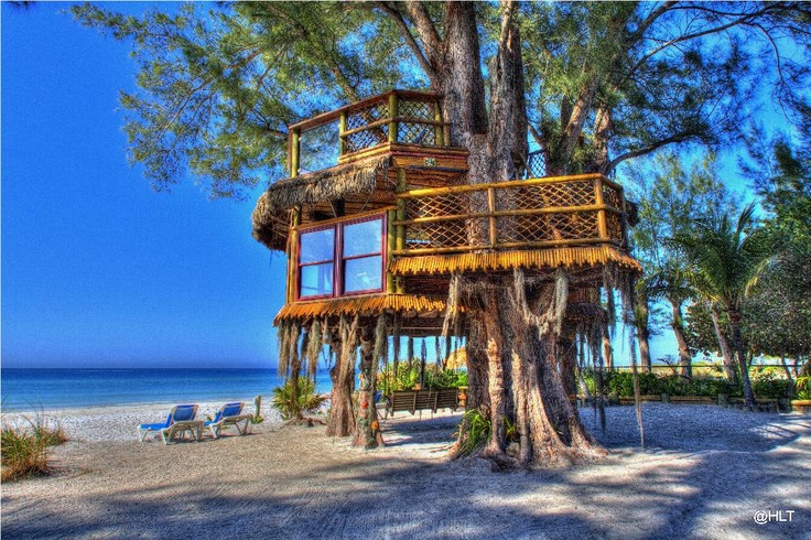 Amazing Beach Houses Amazing Beach Houses