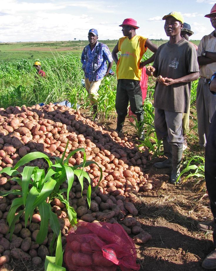 Africa Farmers In Hookup Site South Africa Farmers In Hookup Site South