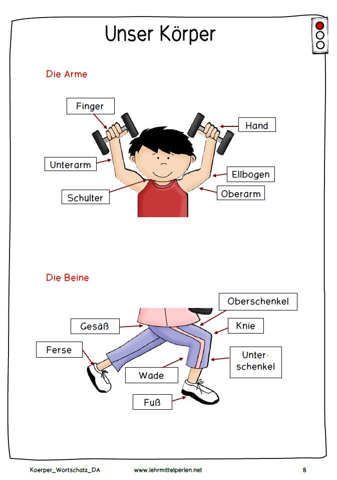 Korperteile kennenlernen im kindergarten