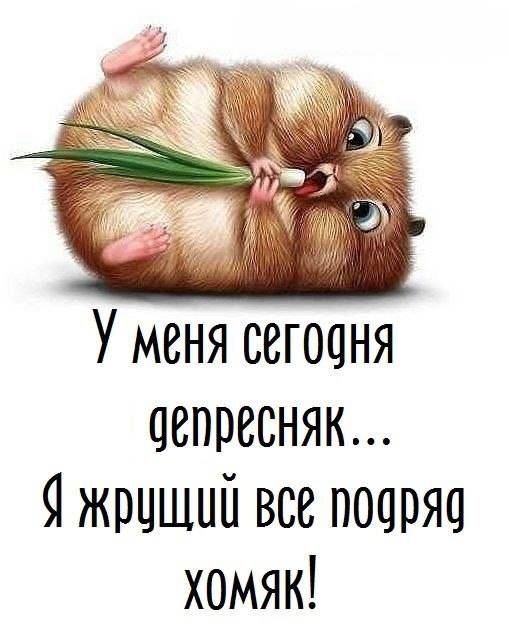 Прикольные картинки жрать