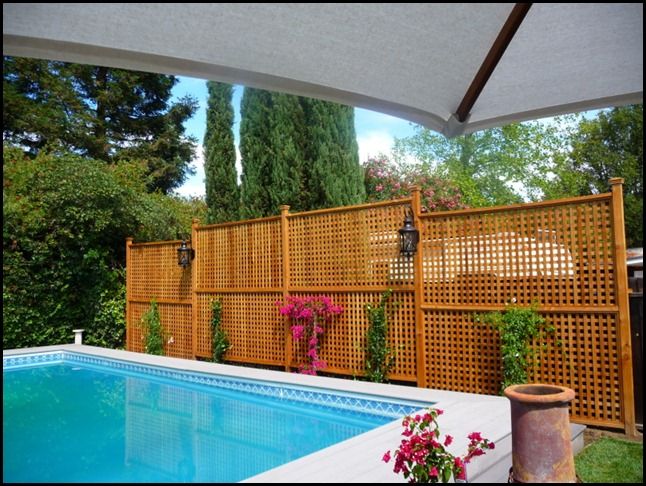 Pool Privacy Fence 13 best pool/privacy ideas images on pinterest | privacy fences Pool Privacy Fence 13 best pool/privacy ideas images on pinterest | privacy fences