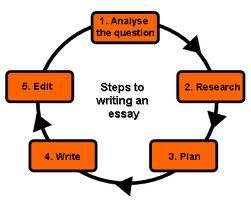 the essay writer