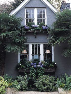 The Color I Want Our House Plus Window Bo Flower Arrangements To The Color I Want Our House Plus Window Bo Flower Arrangements To Kill For Now Just Under What Category Do Pin This A Plethora Of Primula In