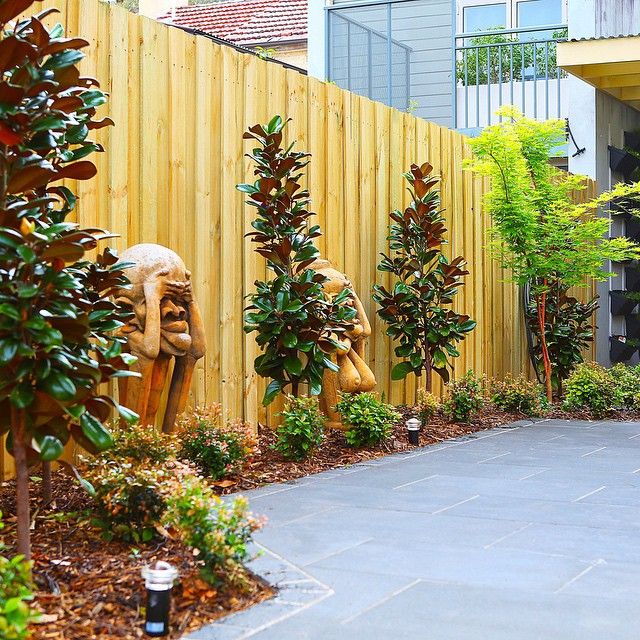 "Feature plants galore in this Balmain courtyard Magnolia ...