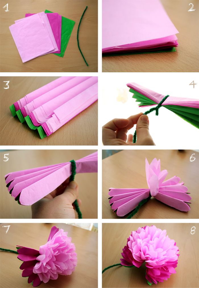WEEK 18 DIY WEEK 18 DIY