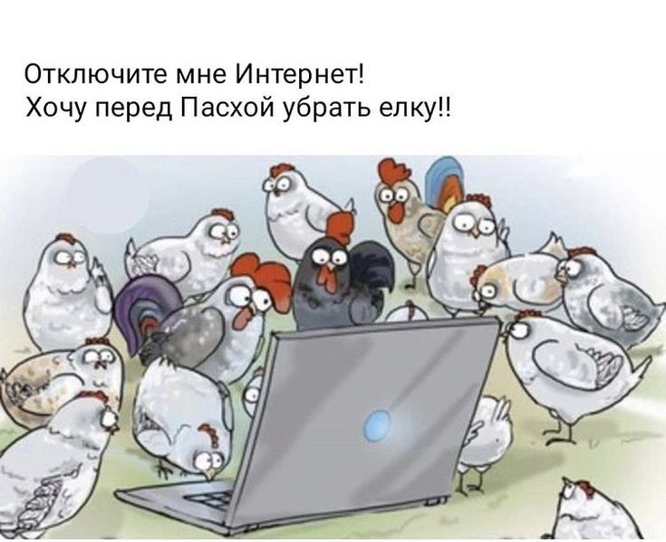 Картинки курятник смешные, для тех кто