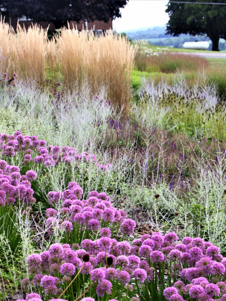 Donald pell landscape design