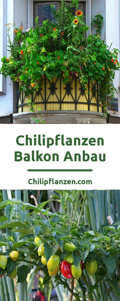 36 best Garten images on Pinterest Ideas, Deko and Entertainment - gartenplanung software kostenlos deutsch 36 best Garten images on Pinterest Ideas, Deko and Entertainment - gartenplanung software kostenlos deutsch