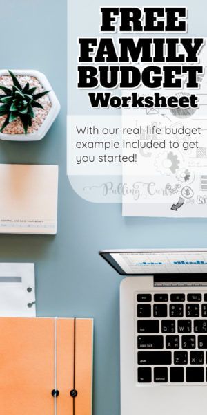 Actual Family Budget Example Parenting Pinterest Budgeting