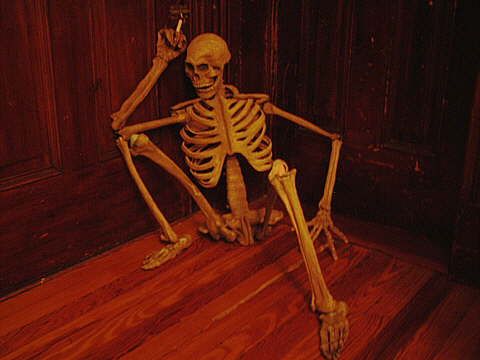 299 best halloween skeletons images on pinterest halloween skeletons halloween stuff and halloween ideas - Halloween Skeletons 299 best halloween skeletons images on pinterest halloween skeletons halloween stuff and halloween ideas - Halloween Skeletons
