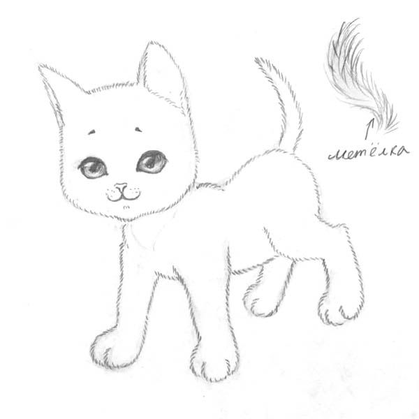 how to draw a kitten easily