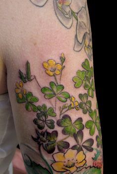 17 best flowers buttercup images on pinterest flowers 17 best flowers buttercup images on pinterest flowers