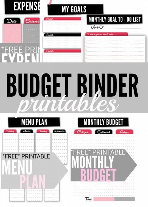 The 25+ best Free budget planner ideas on Pinterest Monthly - printable account ledger The 25+ best Free budget planner ideas on Pinterest Monthly - printable account ledger