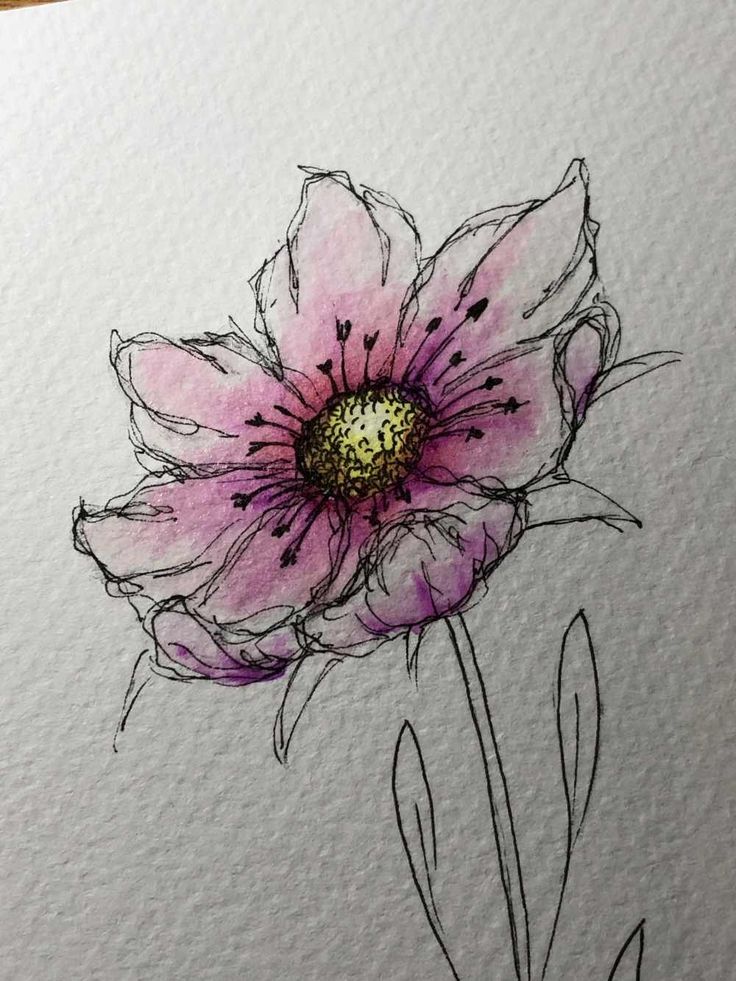 Mohnblumen Blumen Malen Mohn Malerei Acrylbilder Blumen