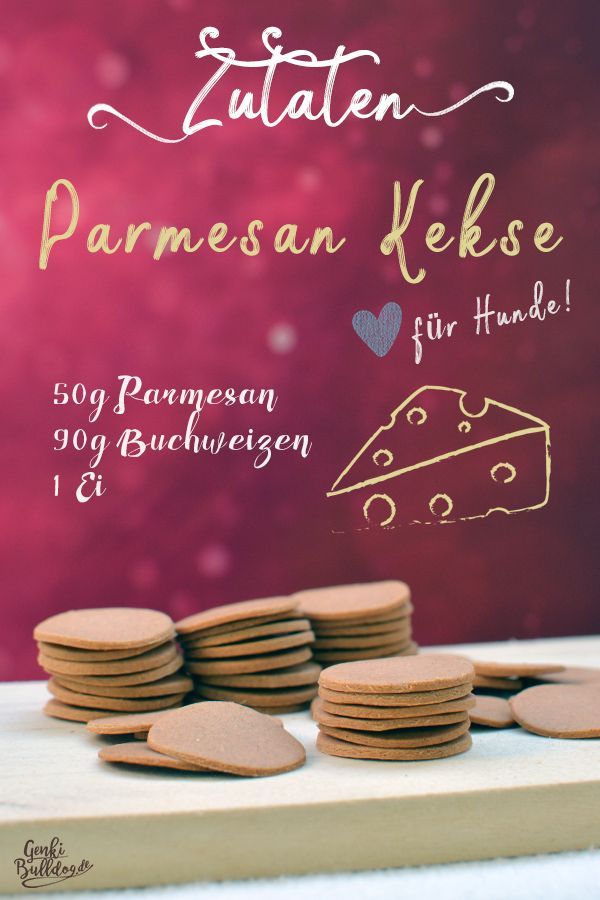 Rezept: Parmesankekse für Hunde – Hunde (themen)- vielseitig, wissenswert & mit kalter Schnauze begleitet Rezept: Parmesankekse für Hunde – Hunde (themen)- vielseitig, wissenswert & mit kalter Schnauze begleitet