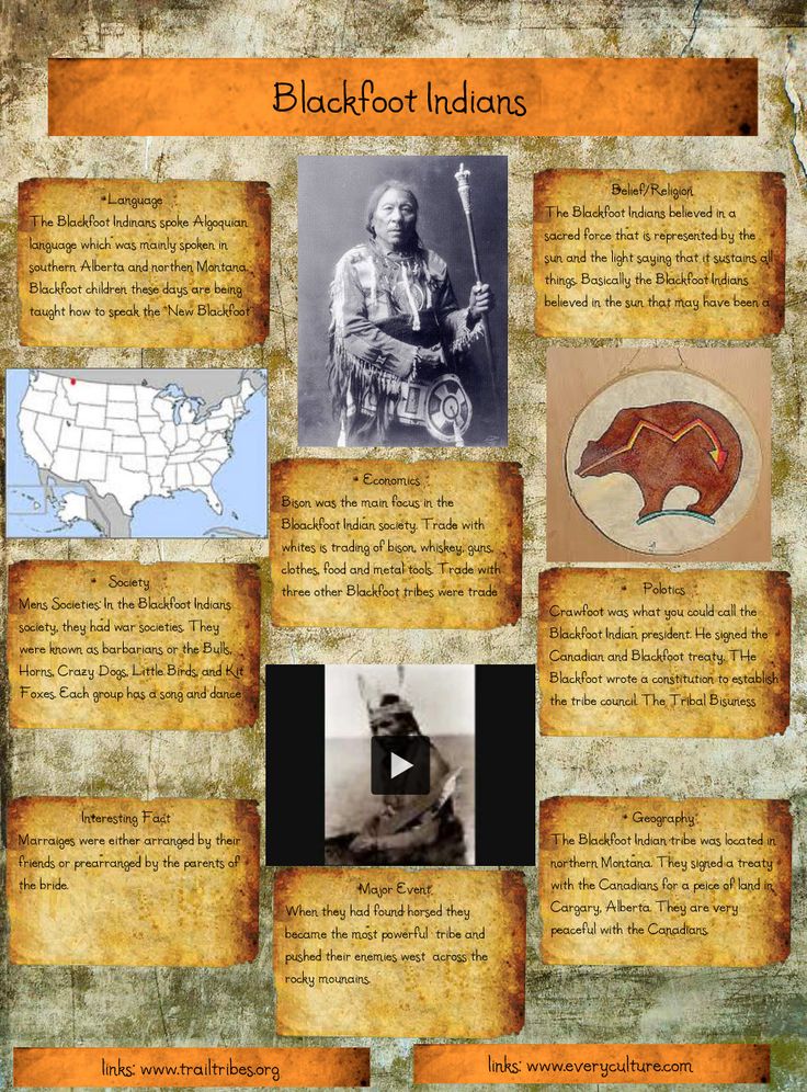 an introduction to the history of american indians Cherokee indians history of the cherokee heritage and history: an introduction to cherokee history remotely interested in native american indian history as. an introduction to the history of american indians Cherokee indians history of the cherokee heritage and history: an introduction to cherokee history remotely interested in native american indian history as.